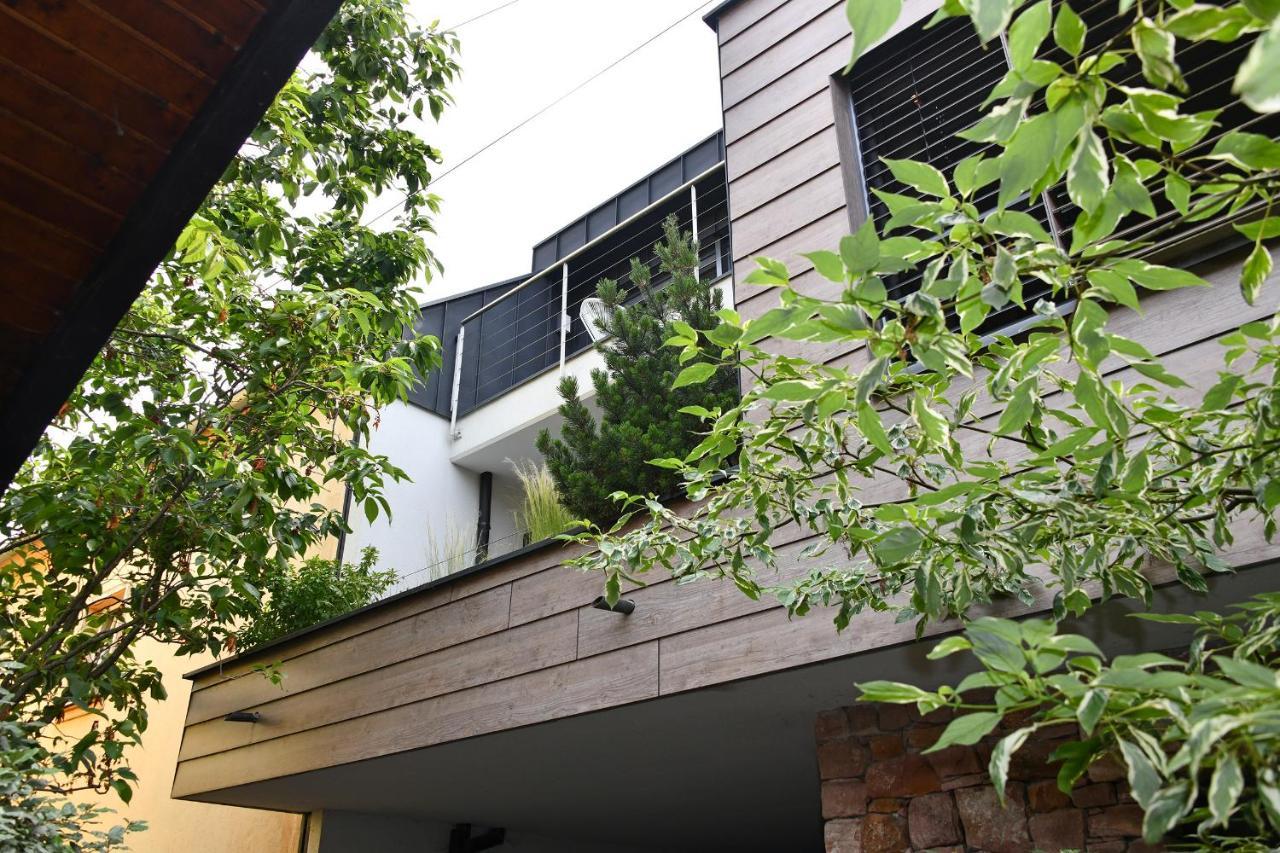 Gite Contemporain L'Hirondelle Guemar Ngoại thất bức ảnh